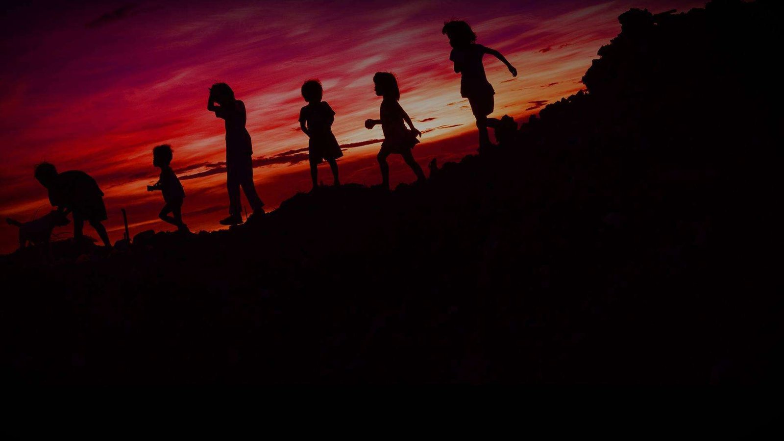 Parenting Is Learning How to Live with Your Children