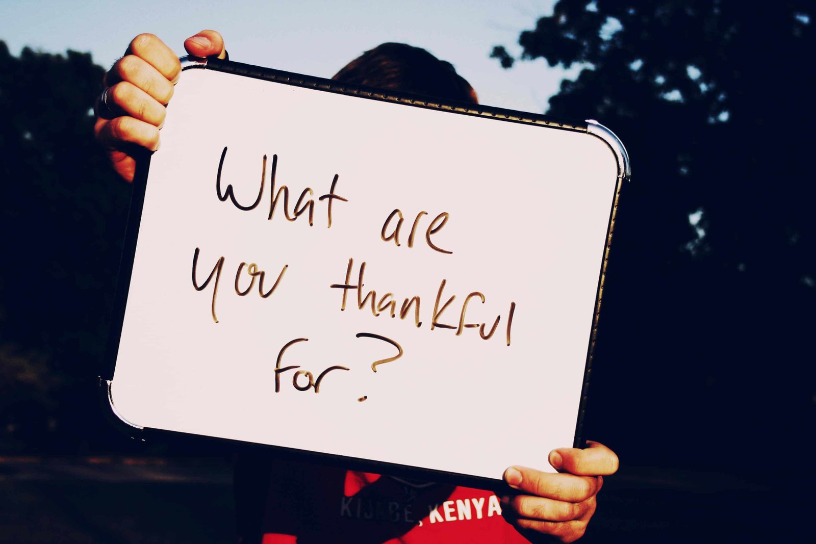 3. Practice Gratitude Daily