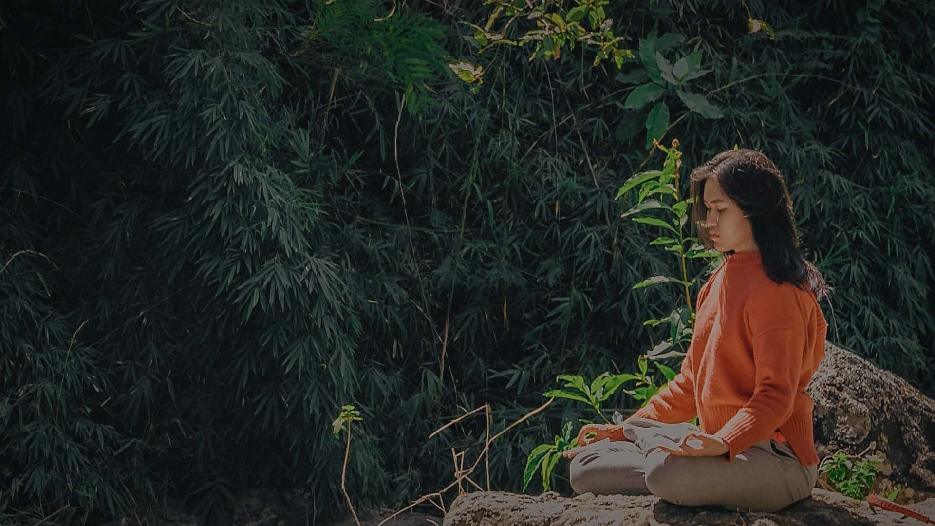Let’s Talk About Meditation in Life